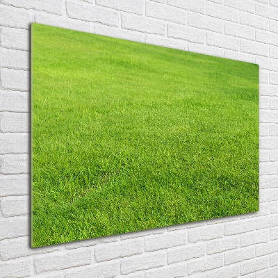 Wall art on glass Green grass