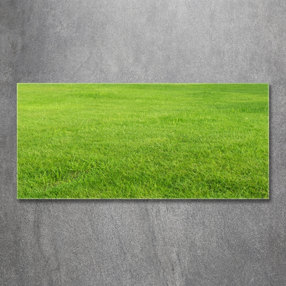 Wall art on glass Green grass