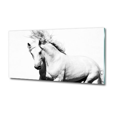 Glass wall art White horse