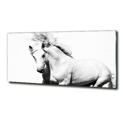 Glass wall art White horse