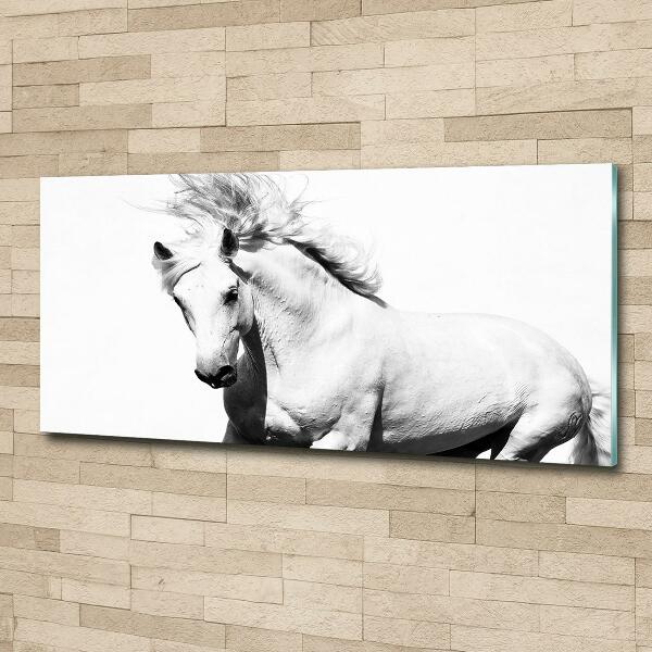 Glass wall art White horse