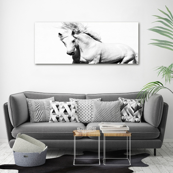 Glass wall art White horse