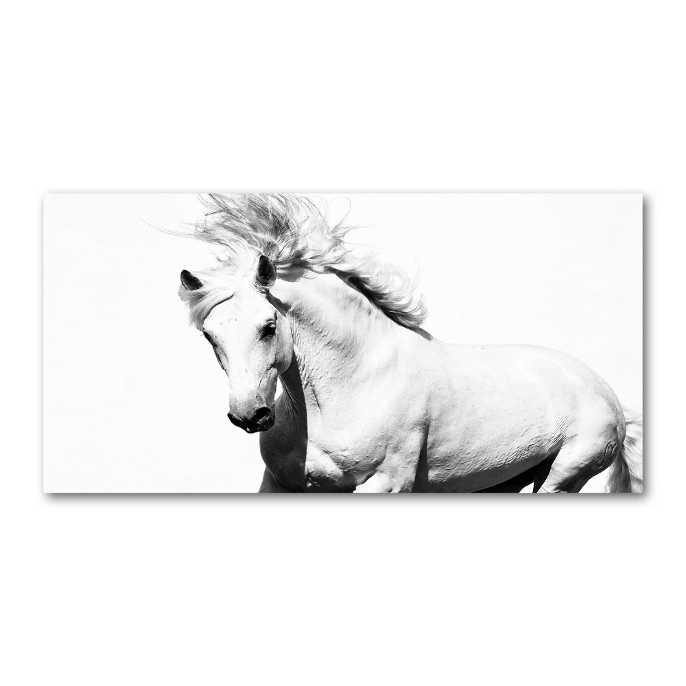 Glass wall art White horse