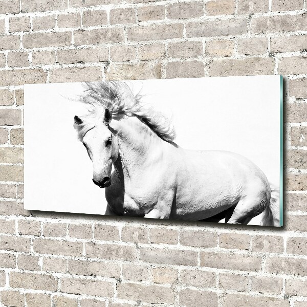 Glass wall art White horse