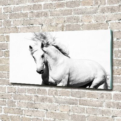 Glass wall art White horse