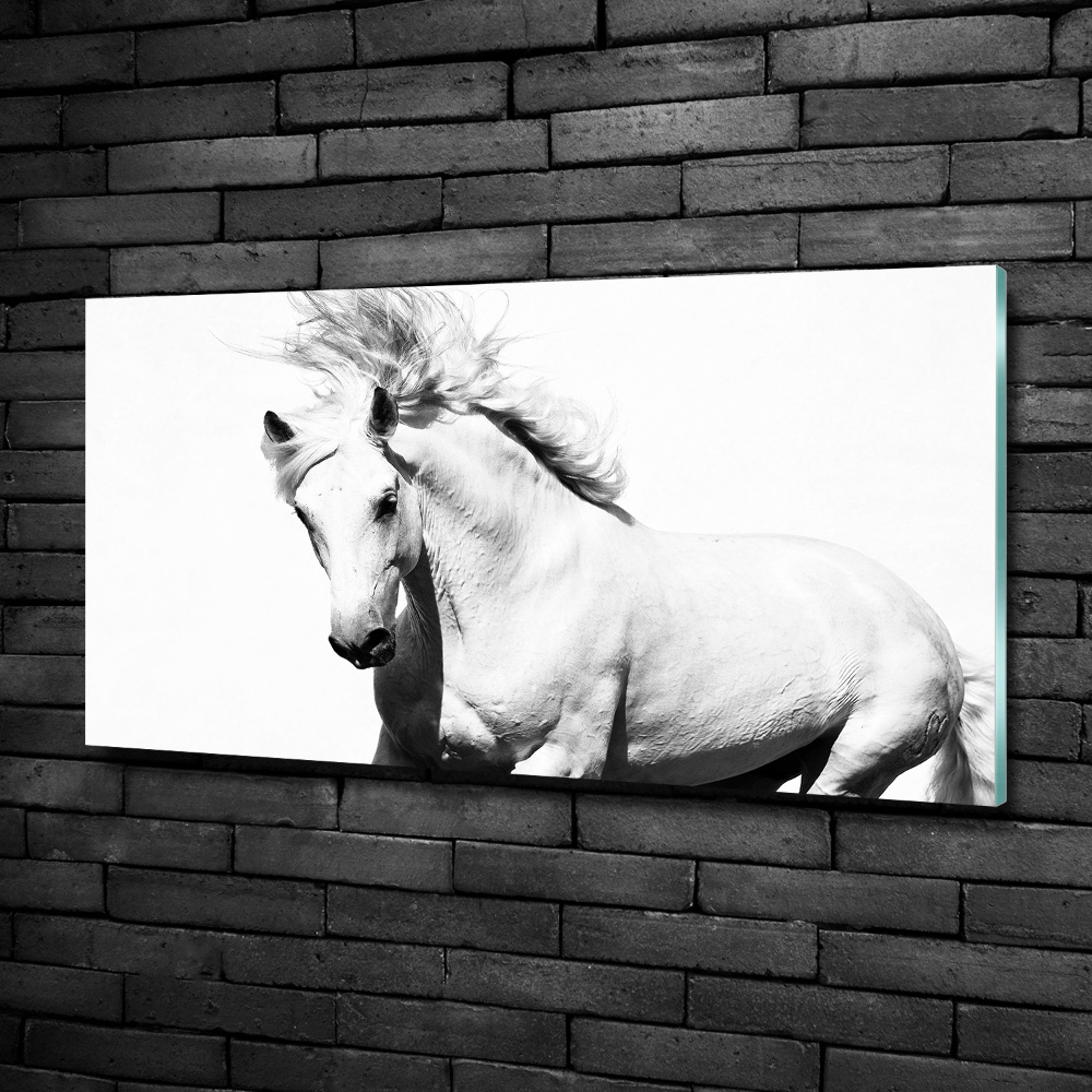 Glass wall art White horse