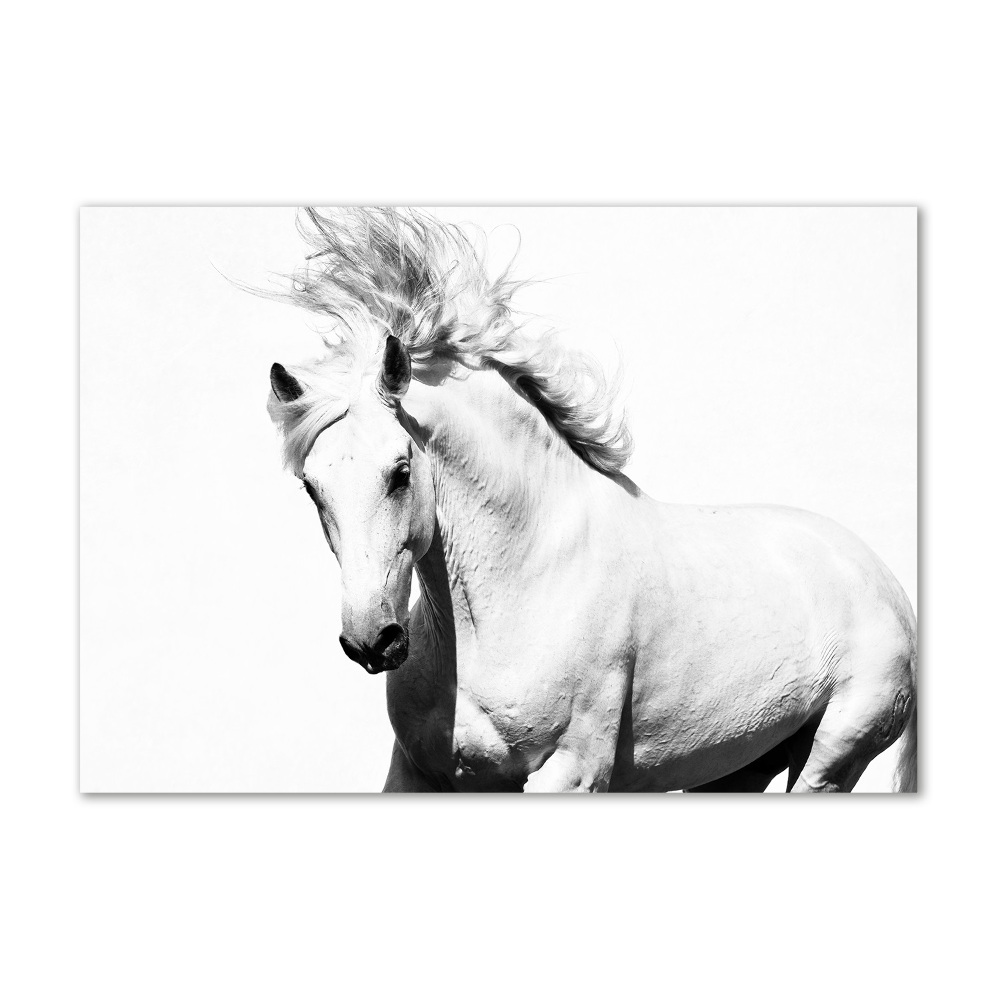 Glass wall art White horse