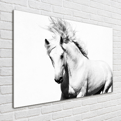 Glass wall art White horse