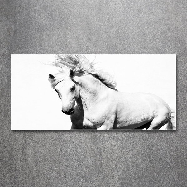 Glass wall art White horse