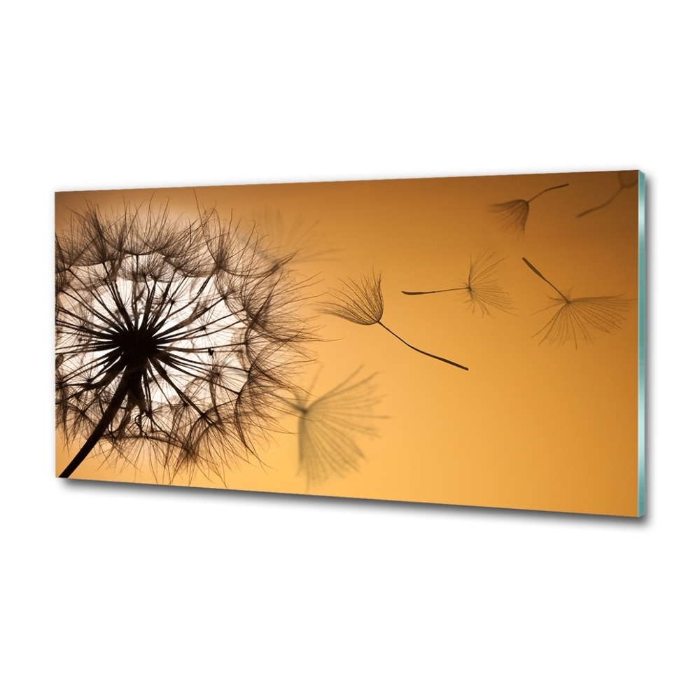 Glass art print Dandelion