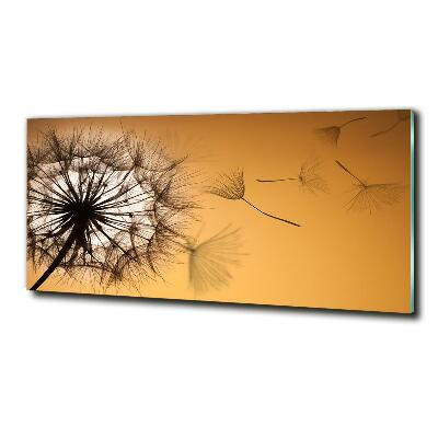 Glass art print Dandelion