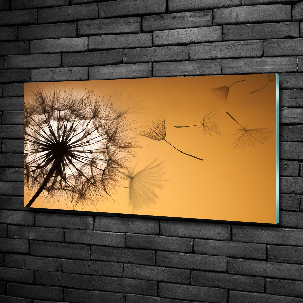 Glass art print Dandelion