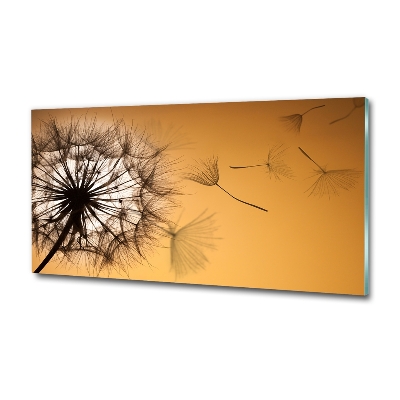 Glass art print Dandelion