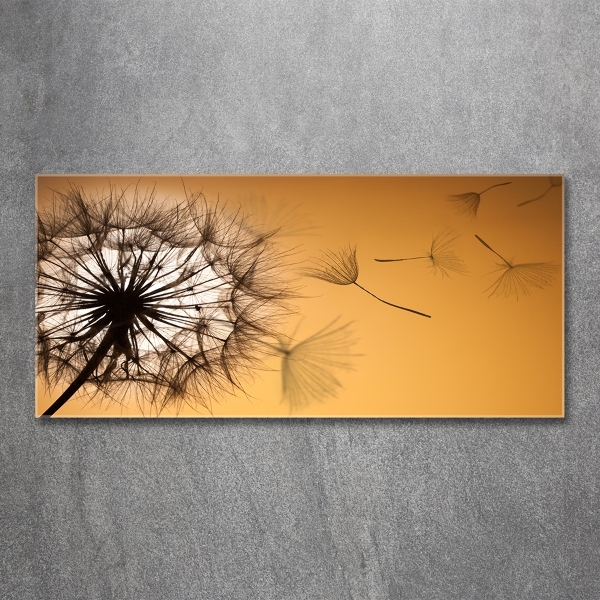 Glass art print Dandelion