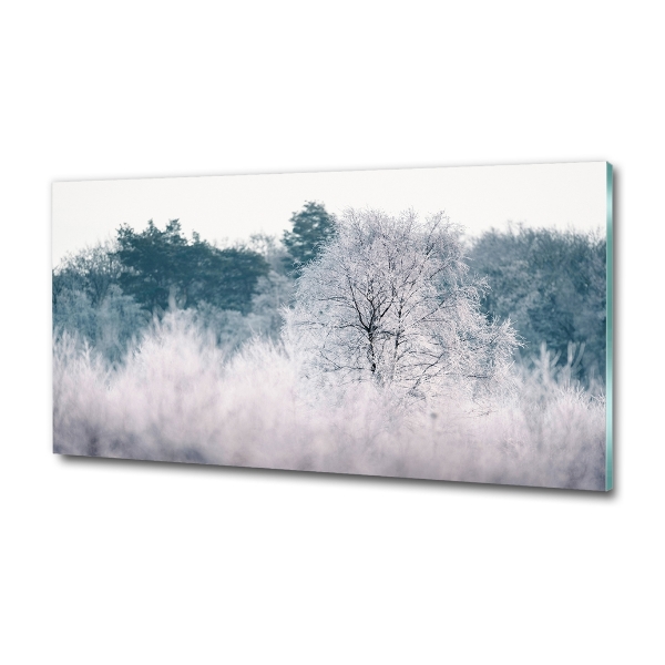 Glass wall art Winter trees