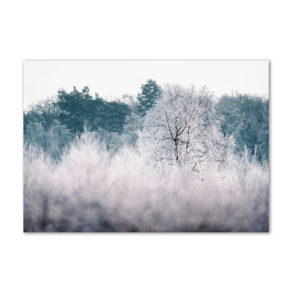 Glass wall art Winter trees