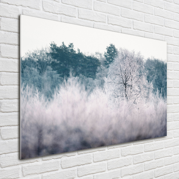 Glass wall art Winter trees