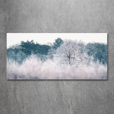 Glass wall art Winter trees