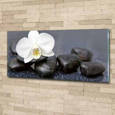 Wall art on glass Orchid