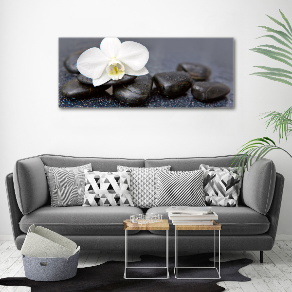 Wall art on glass Orchid