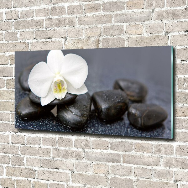 Wall art on glass Orchid