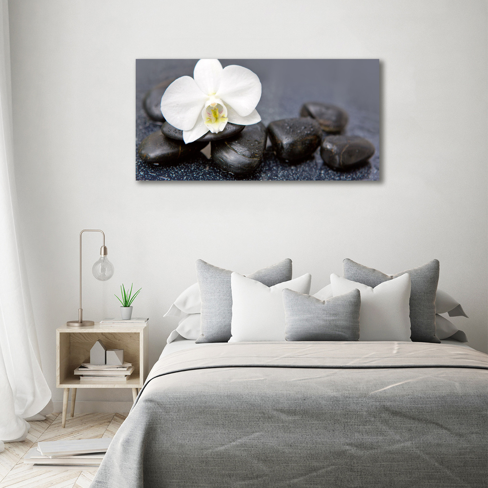 Wall art on glass Orchid