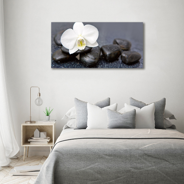 Wall art on glass Orchid