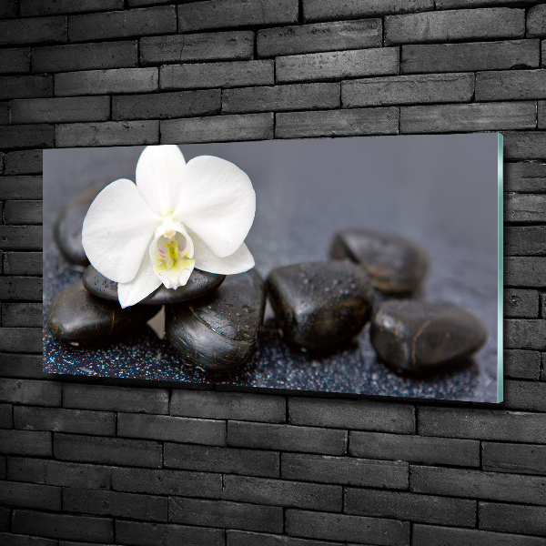 Wall art on glass Orchid