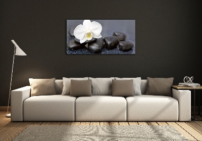 Wall art on glass Orchid