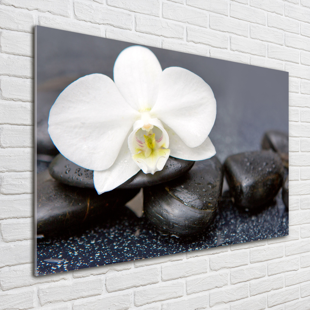 Wall art on glass Orchid