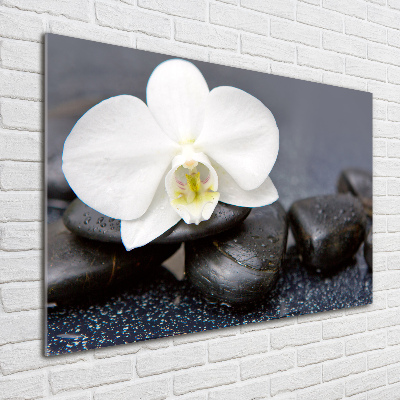 Wall art on glass Orchid