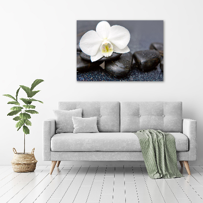 Wall art on glass Orchid