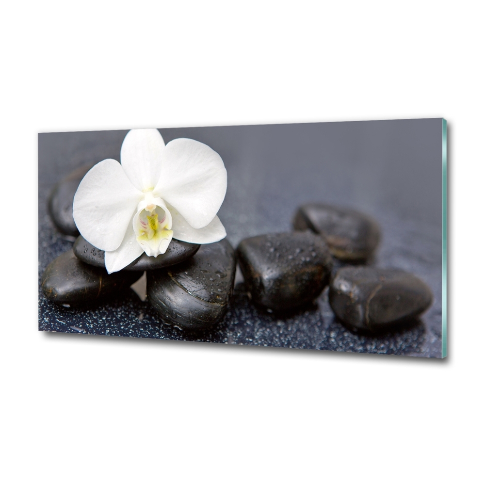 Wall art on glass Orchid