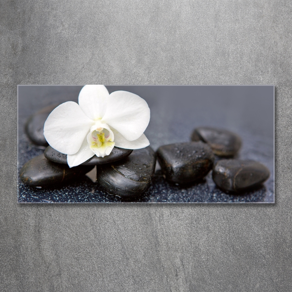 Wall art on glass Orchid