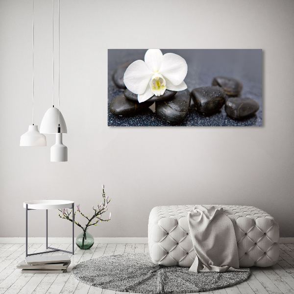 Wall art on glass Orchid