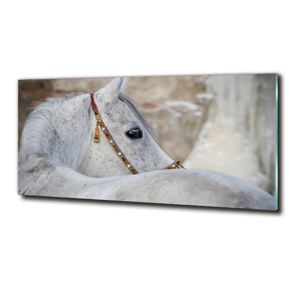 Wall art on glass White arabian horse