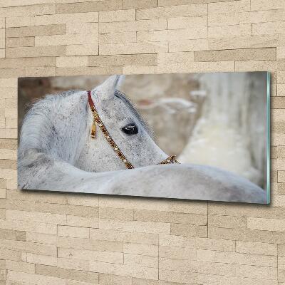 Wall art on glass White arabian horse