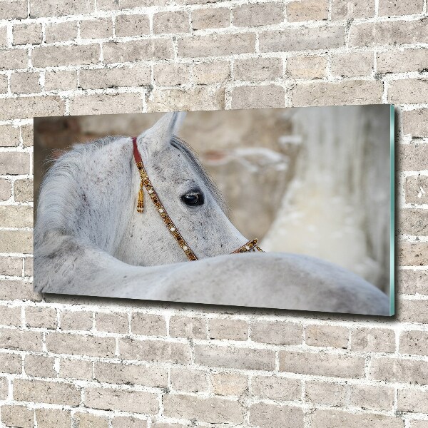 Wall art on glass White arabian horse