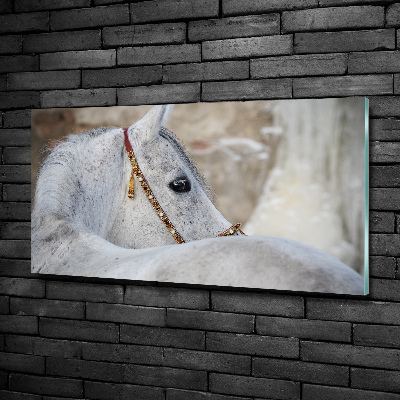 Wall art on glass White arabian horse