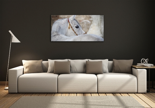 Wall art on glass White arabian horse