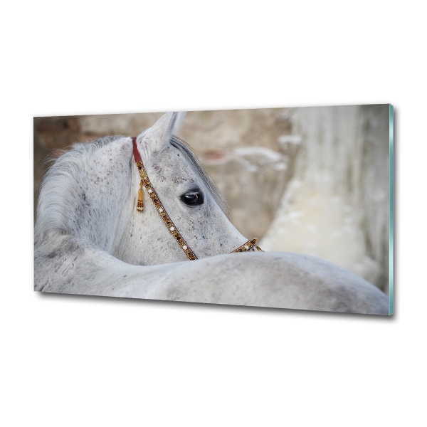 Wall art on glass White arabian horse