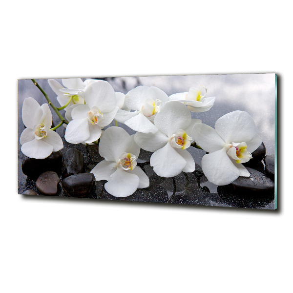 Glass wall art Orchid