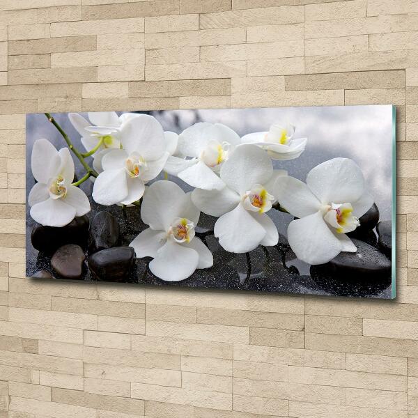 Glass wall art Orchid