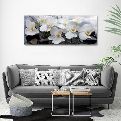 Glass wall art Orchid