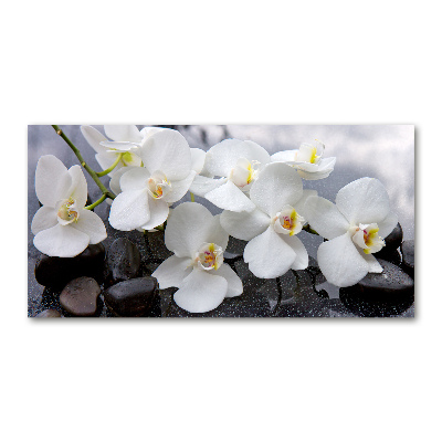 Glass wall art Orchid