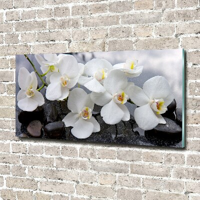 Glass wall art Orchid