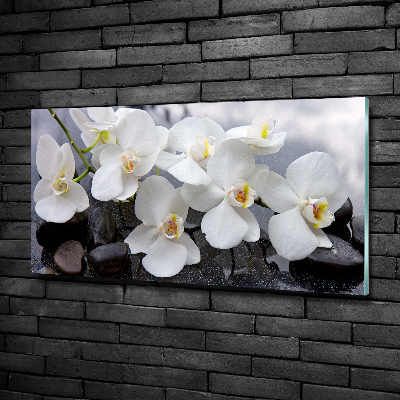 Glass wall art Orchid