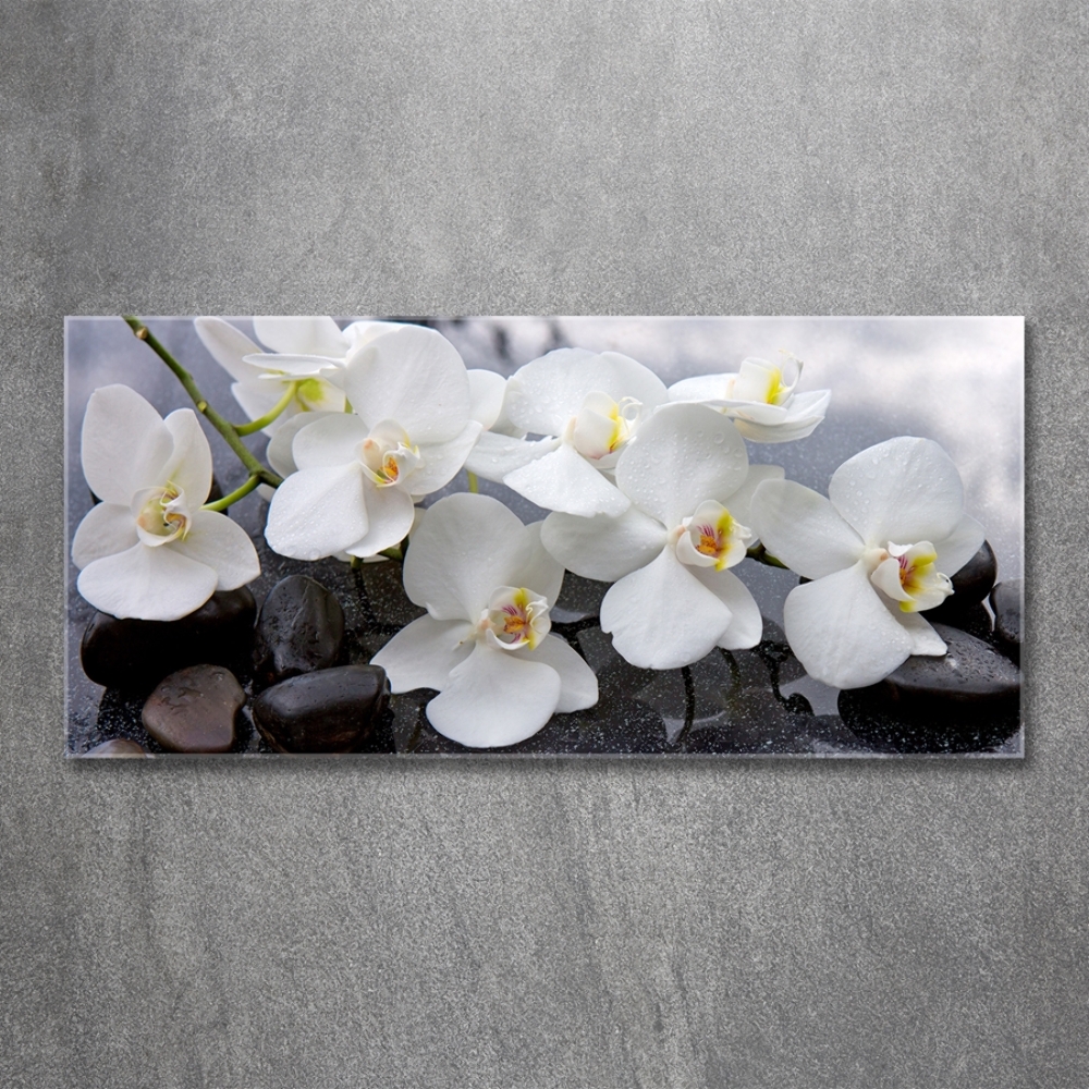 Glass wall art Orchid