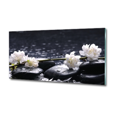 Glass wall art Cherry blossom