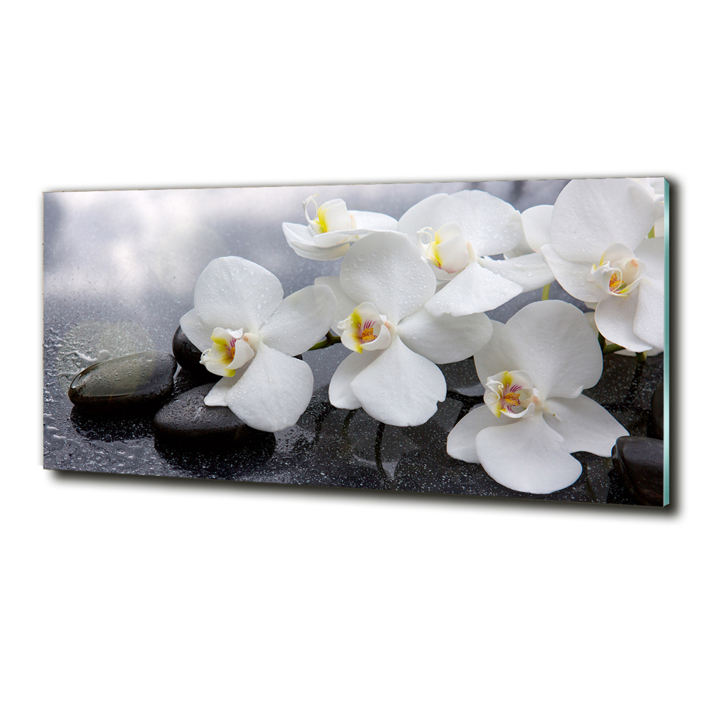 Glass wall art Orchid